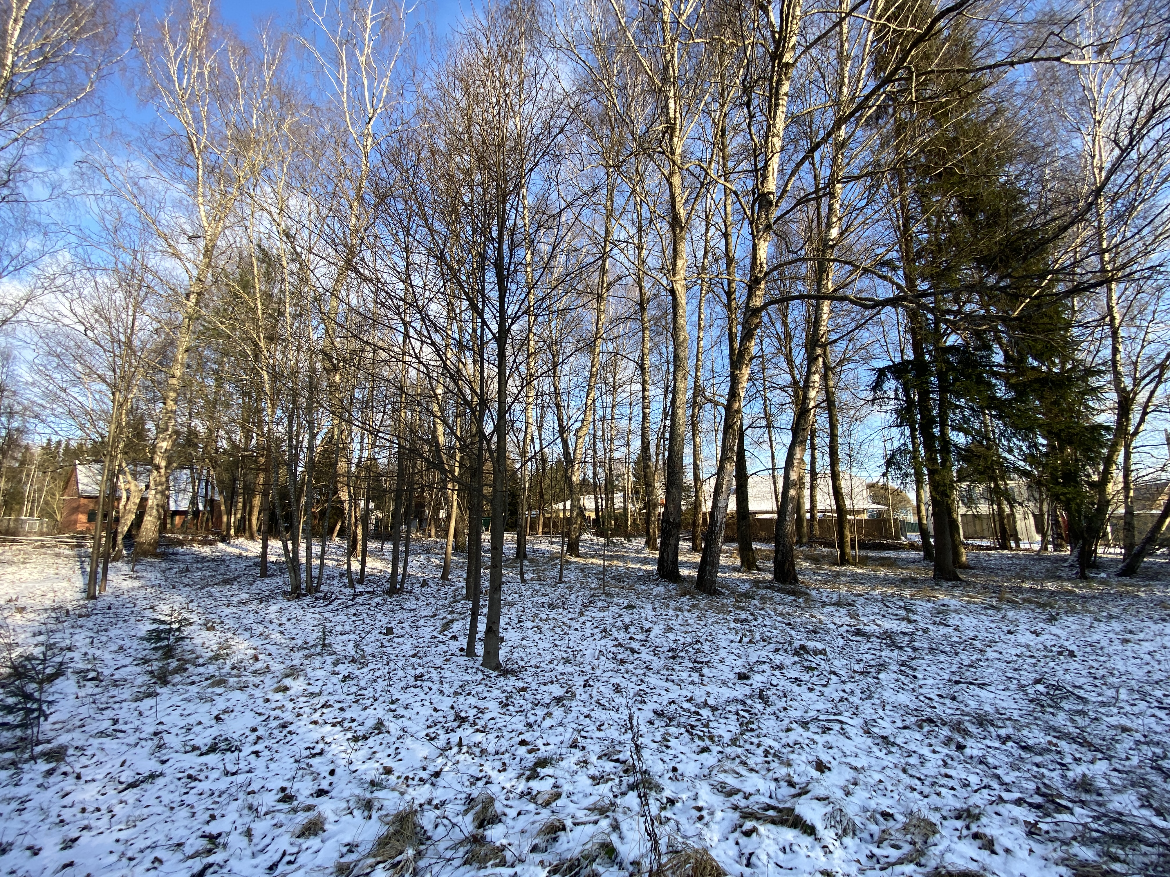 Участок внутри