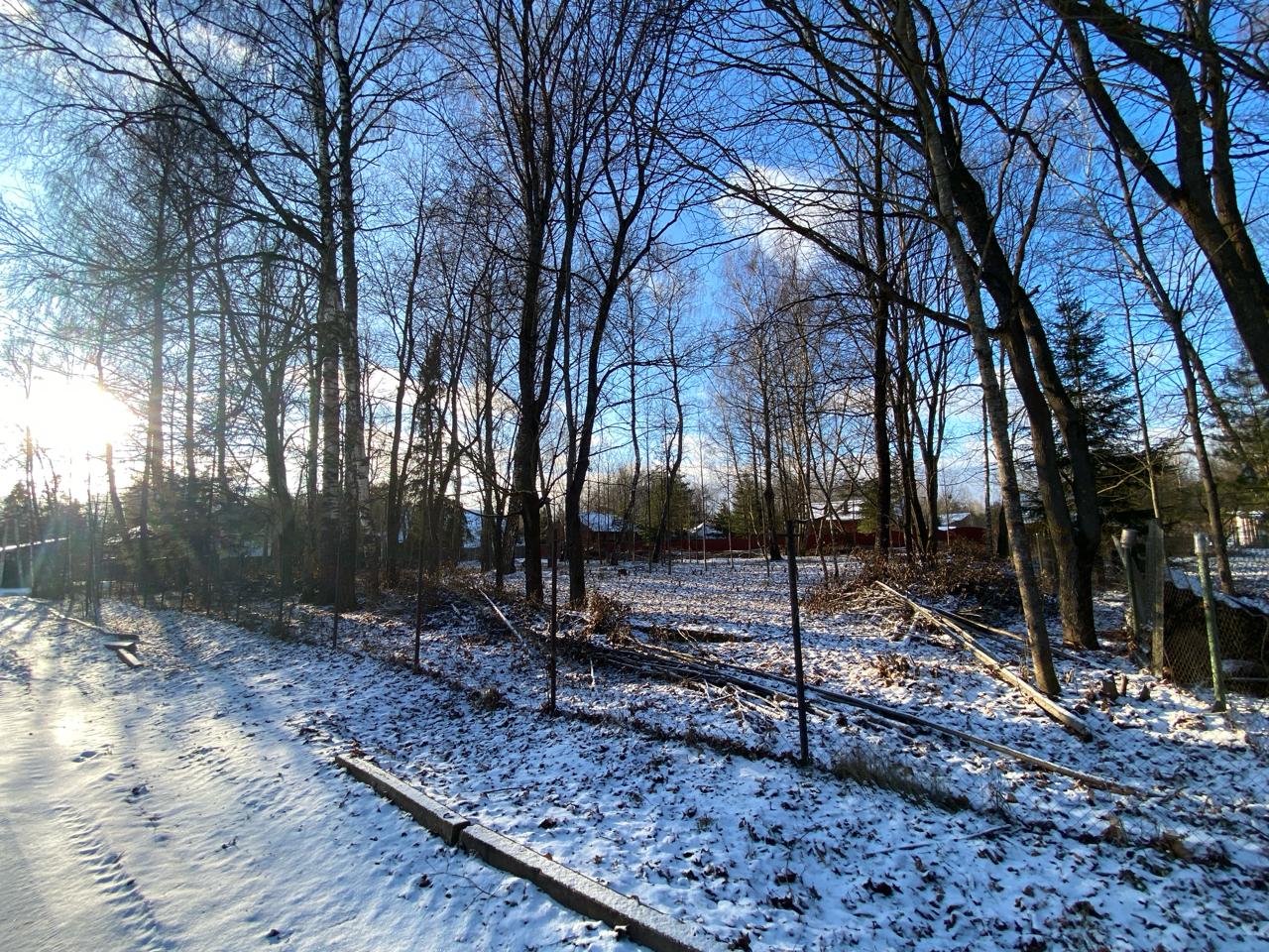 Деревья на участке